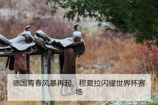 德国青春风暴再起，穆夏拉闪耀世界杯赛场